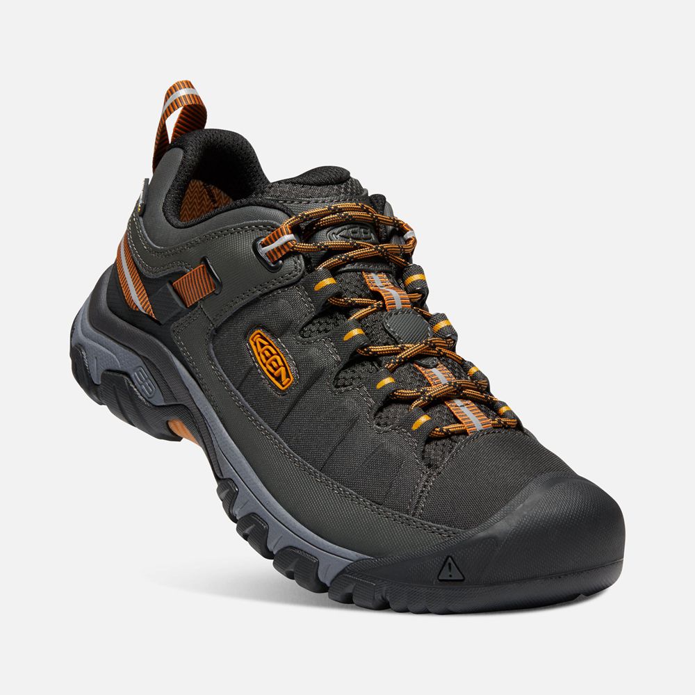 Keen Wandelschoenen Heren Zwart/Goud - Targhee Exp Waterproof - 32504-JNDO